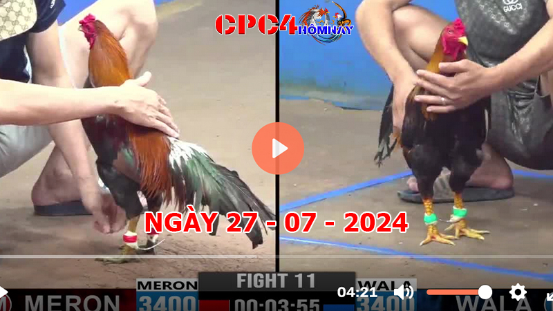 Đá gà CPC4 ngày 27-7-2024