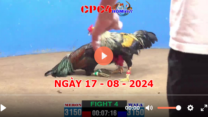 Đá gà CPC4 ngày 17-8-2024