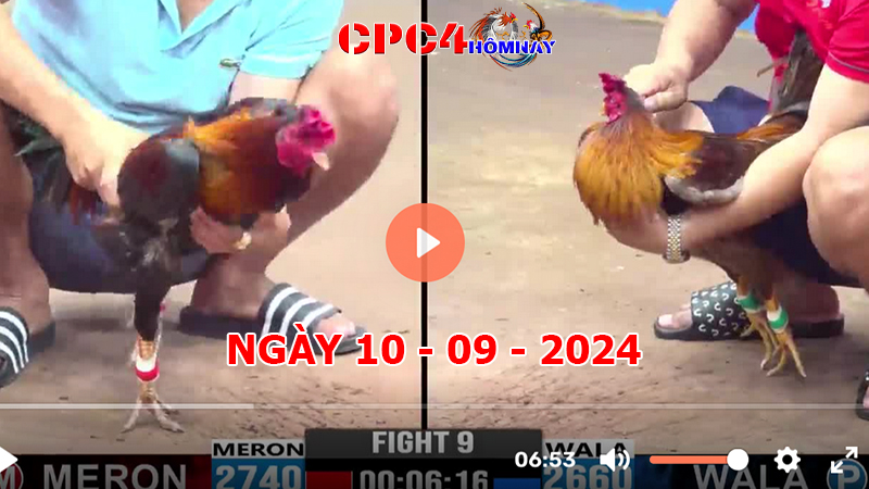 Đá gà CPC4 ngày 10-9-2024