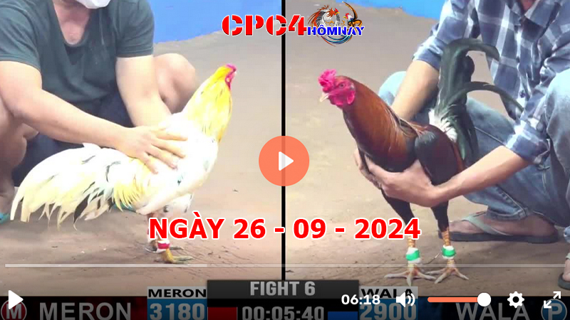 Đá gà CPC4 ngày 26-9-2024