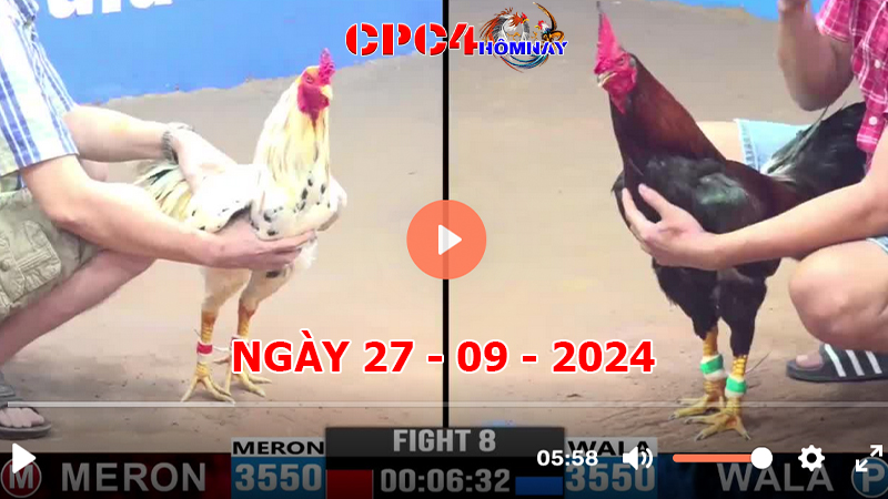 Đá gà CPC4 ngày 27-9-2024