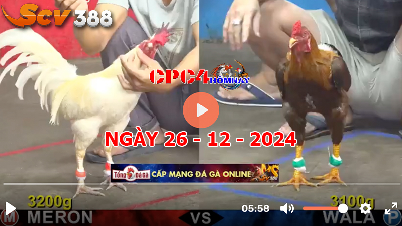 Đá gà CPC4 ngày 26-12-2024