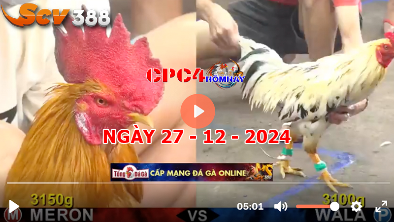 Đá gà CPC4 ngày 27-12-2024